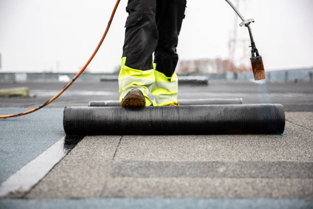 Best Asphalt Shingles Roofing  in Terryville, NY