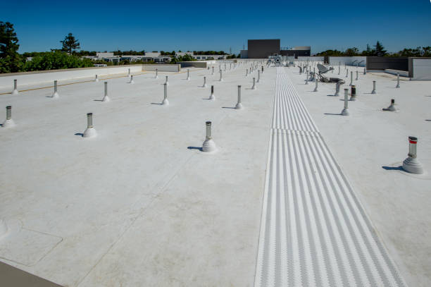Best Roof Coating Services  in Terryville, NY